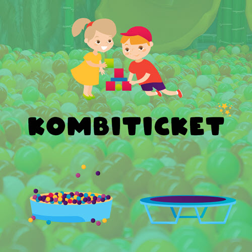 Angebotsbild: Kombiticket